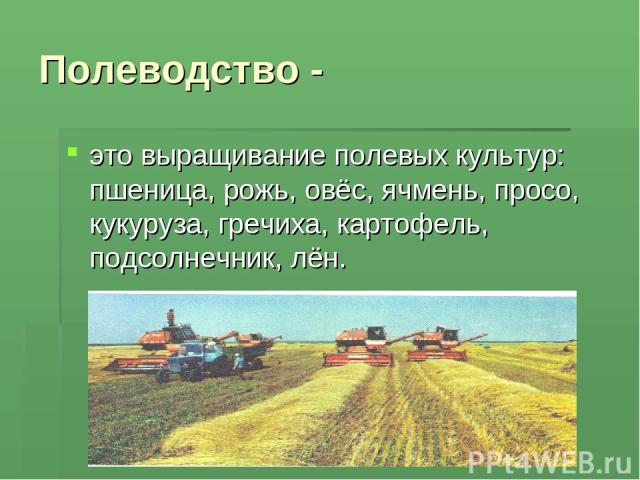 Полеводство - это выращивание полевых культур: пшеница, рожь, овёс, ячмень, просо, кукуруза, гречиха, картофель, подсолнечник, лён.