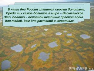 В наши дни Россия славится своими болотами. Среди них самое большое в мире – Вас