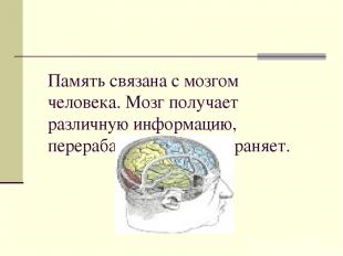 Память связана с мозгом человека. Мозг получает различную информацию, перерабаты