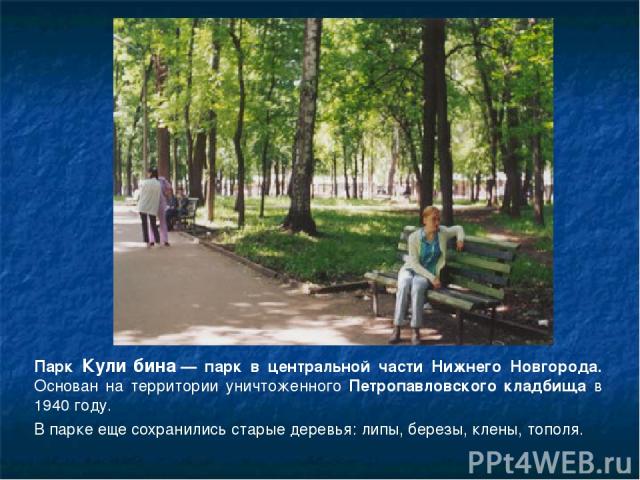 Парк Кули бина — парк в центральной части Нижнего Новгорода. Основан на территории уничтоженного Петропавловского кладбища в 1940 году. В парке еще сохранились старые деревья: липы, березы, клены, тополя.