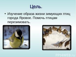 Цель. Изучение образа жизни зимующих птиц города Яровое. Помочь птицам перезимов