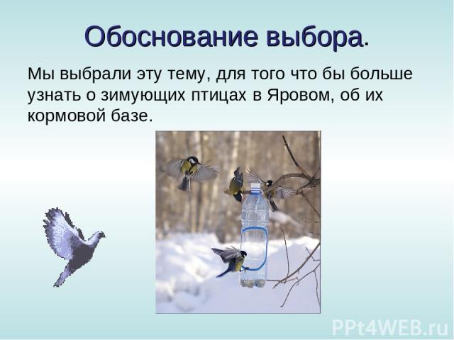 Обоснование выбора. Мы выбрали эту тему, для того что бы больше узнать о зимующих птицах в Яровом, об их кормовой базе.