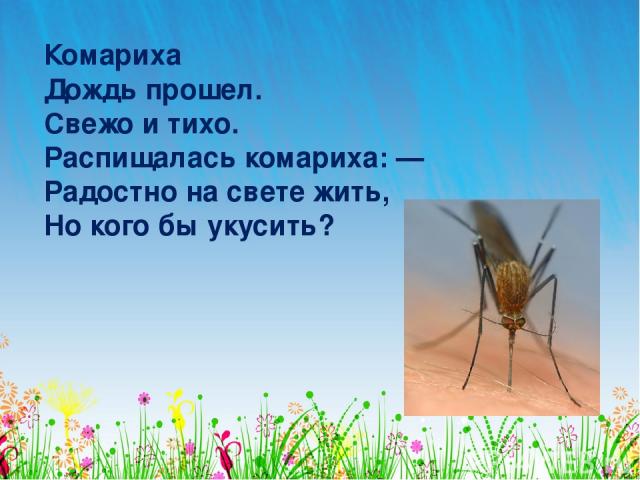 Комариха Дождь прошел. Свежо и тихо. Распищалась комариха: — Радостно на свете жить, Но кого бы укусить?