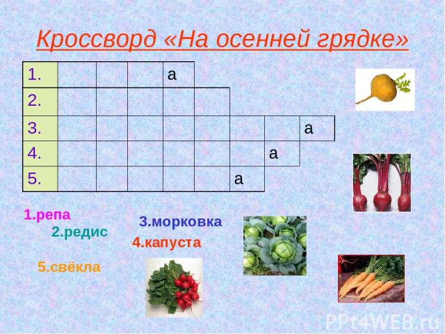 Кроссворд «На осенней грядке» 1.репа 2.редис 3.морковка 4.капуста 5.свёкла 1. а 2. 3. а 4. а 5. а