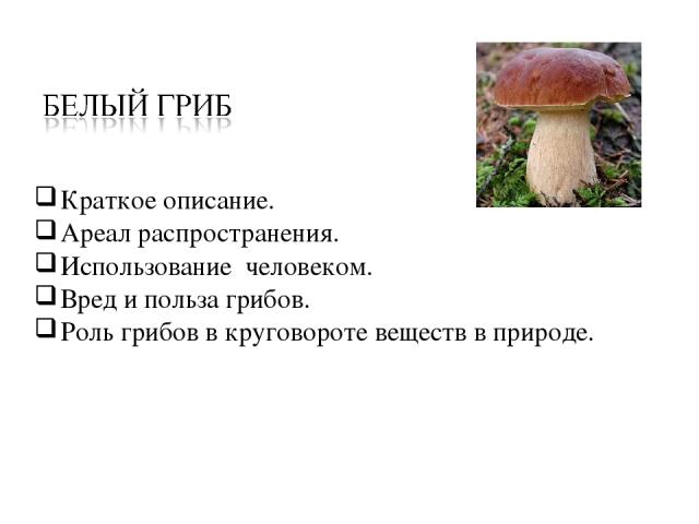 Краткое описание. Ареал распространения. Использование человеком. Вред и польза грибов. Роль грибов в круговороте веществ в природе.