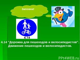 4.14 "Дорожка для пешеходов и велосипедистов". Движение пешеходов и велосипедист