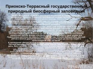Приокско-Террасный государственный природный биосферный заповедник На юге Москов