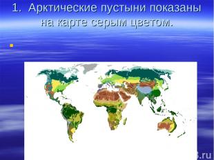 1.  Арктические пустыни показаны на карте серым цветом.