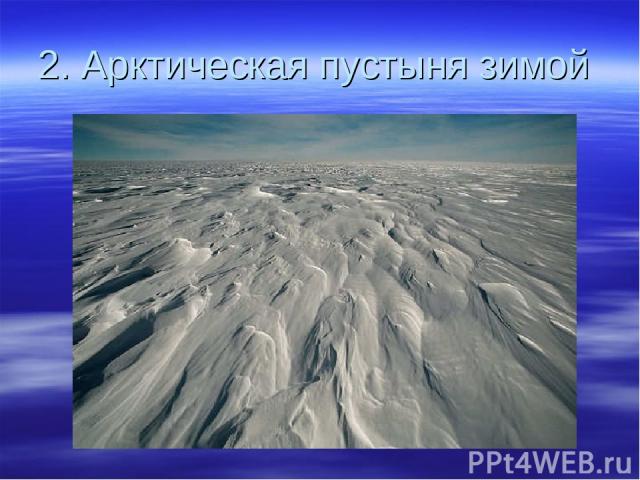 2. Арктическая пустыня зимой