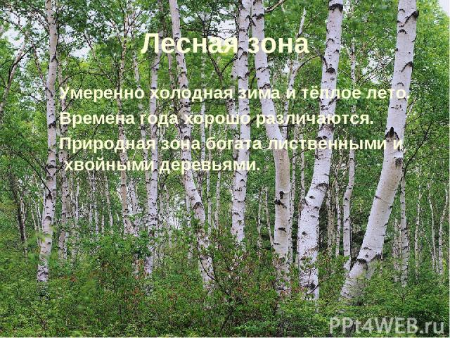 Лесная зона Умеренно холодная зима и тёплое лето. Времена года хорошо различаются. Природная зона богата лиственными и хвойными деревьями.