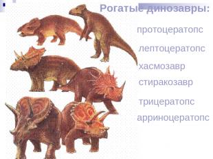 Рогатые динозавры: протоцератопс лептоцератопс хасмозавр стиракозавр трицератопс