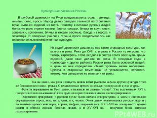 Культурные растения России. В глубокой древности на Руси возделывались рожь, пше