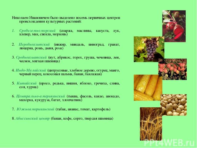 Николаем Ивановичем было выделено восемь первичных центров происхождения культурных растений: Средиземноморский (спаржа, маслины, капуста, лук, клевер, мак, свекла, морковь) 2. Переднеазитский (инжир, миндаль, виноград, гранат, люцерна, рожь, дыня, …