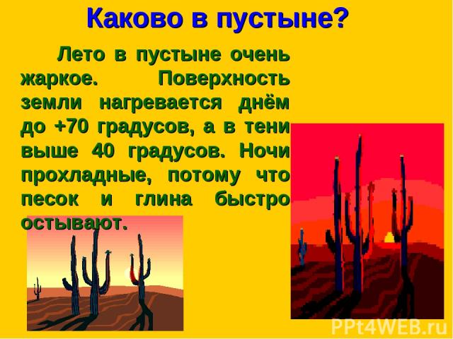 Каково в пустыне? Лето в пустыне очень жаркое. Поверхность земли нагревается днём до +70 градусов, а в тени выше 40 градусов. Ночи прохладные, потому что песок и глина быстро остывают.
