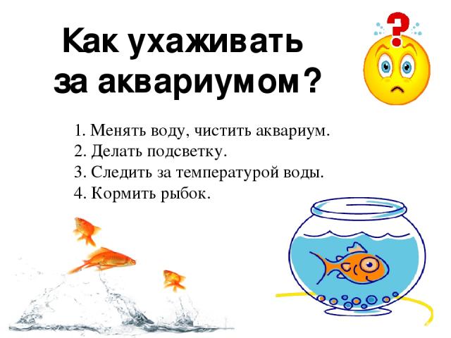 Как ухаживать за аквариумом? 1. Менять воду, чистить аквариум. 2. Делать подсветку. 3. Следить за температурой воды. 4. Кормить рыбок.