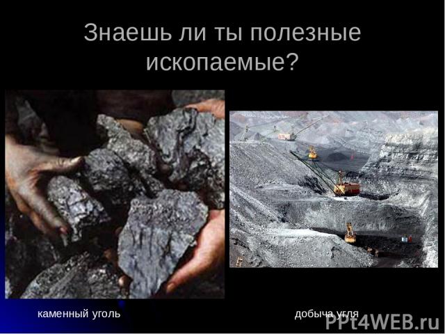 Знаешь ли ты полезные ископаемые? каменный уголь добыча угля