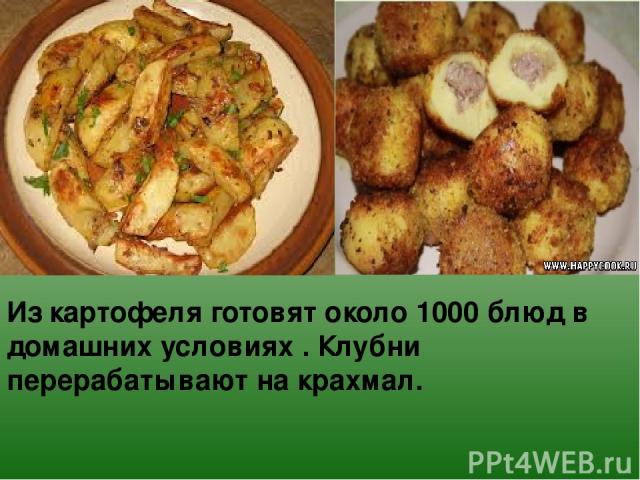 Из картофеля готовят около 1000 блюд в домашних условиях . Клубни перерабатывают на крахмал.