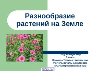 Разнообразие растений на Земле Окружающий мир 3 класс Хромова Татьяна Николаевна