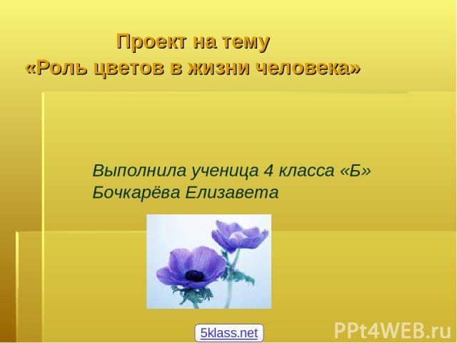 Проект на тему «Роль цветов в жизни человека» Выполнила ученица 4 класса «Б» Бочкарёва Елизавета 5klass.net
