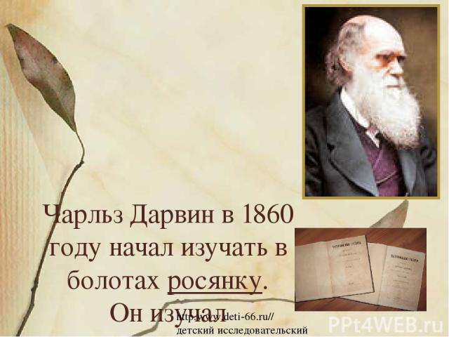 Чарльз Дарвин в 1860 году начал изучать в болотах росянку. Он изучал «поведение» и кормил ее насекомыми, соленым английским сыром. http.www.deti-66.ru// детский исследовательский проект