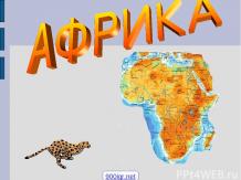 Растительный и животный мир Африки