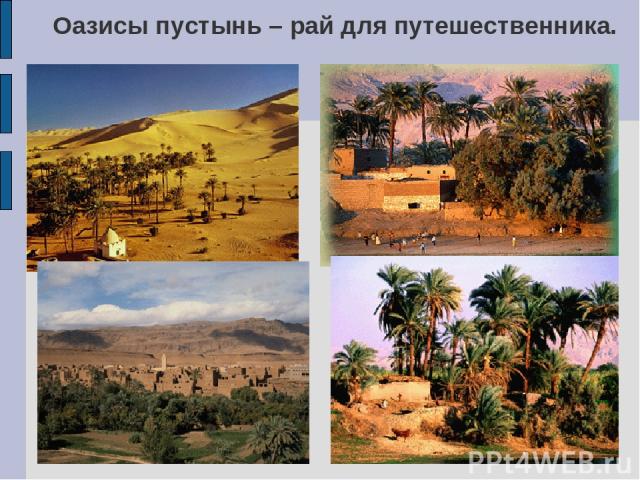 Оазисы пустынь – рай для путешественника.