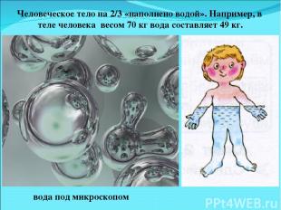 Человеческое тело на 2/3 «наполнено водой». Например, в теле человека весом 70 к