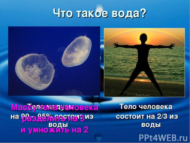 Что такое вода? Тело медузы на 90 – 95% состоит из воды Тело человека состоит на 2/3 из воды Массу тела человека разделить на 3 и умножить на 2