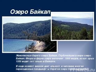 Озеро Байкал Живописные берега озера Байкал. Глубочайшее в мире озеро Байкал. Фл