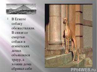 В Египте собаку обожествляли. В связи со смертью собаки в египетских домах объяв