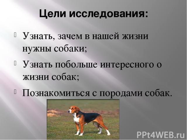 Цели исследования: Узнать, зачем в нашей жизни нужны собаки; Узнать побольше интересного о жизни собак; Познакомиться с породами собак.