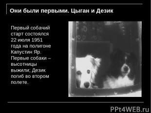 Они были первыми. Цыган и Дезик Первый собачий старт состоялся 22 июля 1951 года