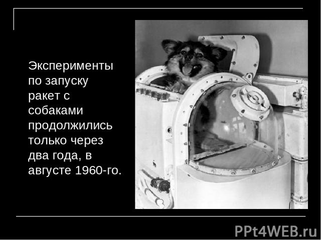 Эксперименты по запуску ракет с собаками продолжились только через два года, в августе 1960-го.