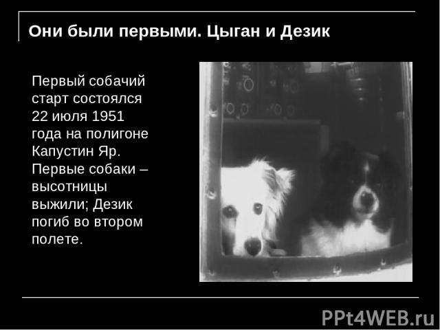 Они были первыми. Цыган и Дезик Первый собачий старт состоялся 22 июля 1951 года на полигоне Капустин Яр. Первые собаки – высотницы выжили; Дезик погиб во втором полете.