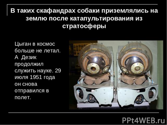 В таких скафандрах собаки приземлялись на землю после катапультирования из стратосферы Цыган в космос больше не летал. А Дезик продолжил служить науке. 29 июля 1951 года он снова отправился в полет.