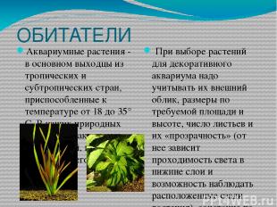 ОБИТАТЕЛИ Аквариумные растения - в основном выходцы из тропических и субтропичес