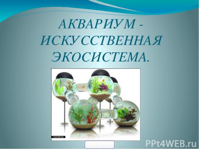 Какие организмы живут в аквариуме биология. Аквариум искусственная экосистема. Аквариум модель экосистемы. Искусственные экосистемы примеры аквариум. Аквариум искусственная экосистема 5 класс.