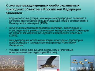 К системе международных особо охраняемых природных объектов в Российской Федерац