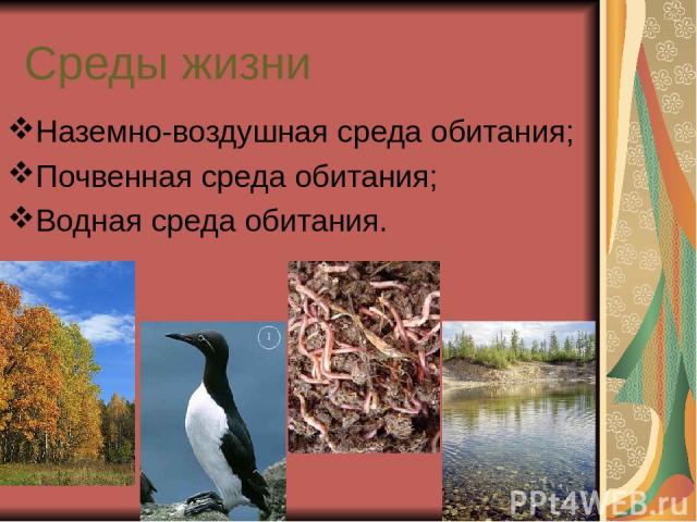 Среды жизни Наземно-воздушная среда обитания; Почвенная среда обитания; Водная среда обитания.