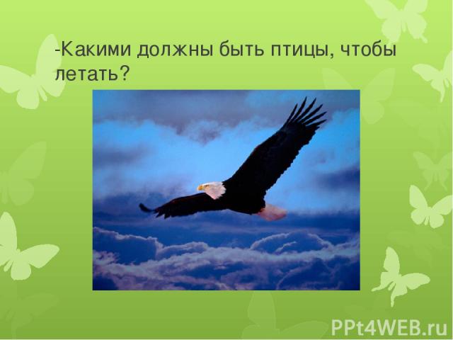 -Какими должны быть птицы, чтобы летать?