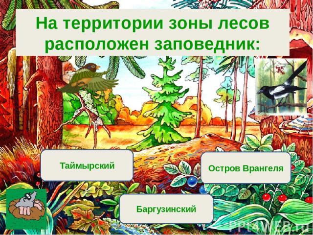 Вариант 1 (уровень 1) Баргузинский Таймырский Остров Врангеля На территории зоны лесов расположен заповедник: