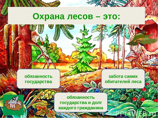 Вариант 1 (уровень 1) обязанность государства и долг каждого гражданина обязанность государства забота самих обитателей леса Охрана лесов – это: