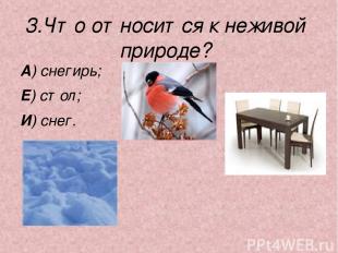 3.Что относится к неживой природе? А) снегирь; Е) стол; И) снег.