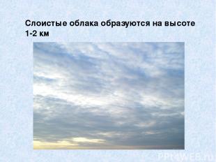 Слоистые облака образуются на высоте 1-2 км