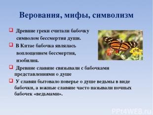 Верования, мифы, символизм Древние греки считали бабочку символом бессмертия душ