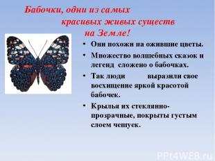 Бабочки, одни из самых красивых живых существ на Земле! Они похожи на ожившие цв