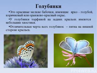 Голубянки Это красивые мелкие бабочки, имеющие ярко - голубой, коричневый или ор