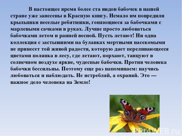 В настоящее время более ста видов бабочек в нашей стране уже занесены в Красную книгу. Немало им повредили крылышки веселые ребятишки, гоняющиеся за бабочками с марлевыми сачками в руках. Лучше просто любоваться бабочками летом и ранней весной. Пуст…