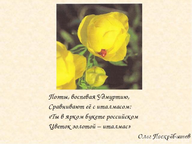 Поэты, воспевая Удмуртию, Сравнивают её с италмасом: «Ты в ярком букете российском Цветок золотой – италмас» Олег Поскрёбышев