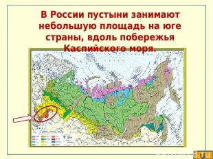 В России пустыни занимают небольшую площадь на юге страны, вдоль побережья Каспи